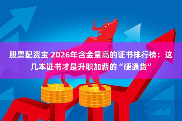 股票配资宝 2026年含金量高的证书排行榜：这几本证书才是升职加薪的“硬通货”