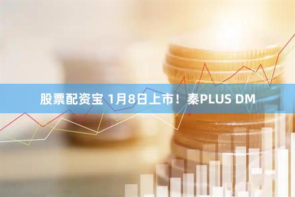 股票配资宝 1月8日上市！秦PLUS DM
