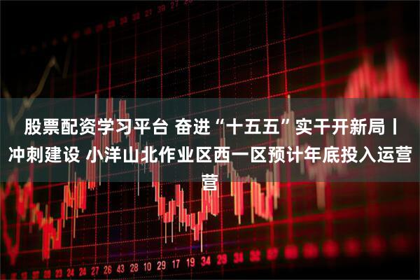 股票配资学习平台 奋进“十五五”实干开新局丨冲刺建设 小洋山北作业区西一区预计年底投入运营