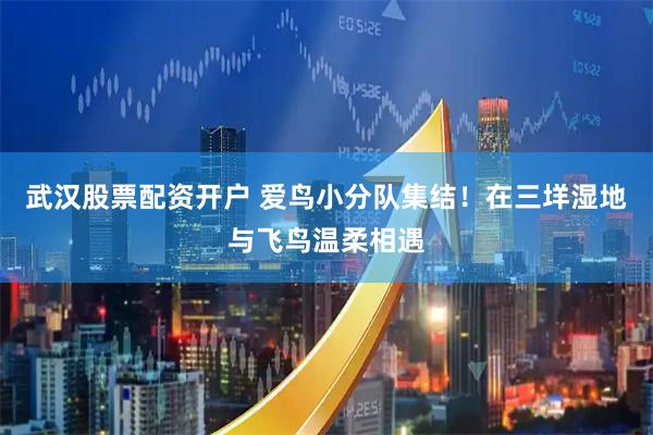 武汉股票配资开户 爱鸟小分队集结！在三垟湿地与飞鸟温柔相遇